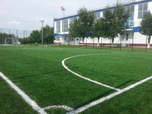 mini-futbolnoe-pole-3